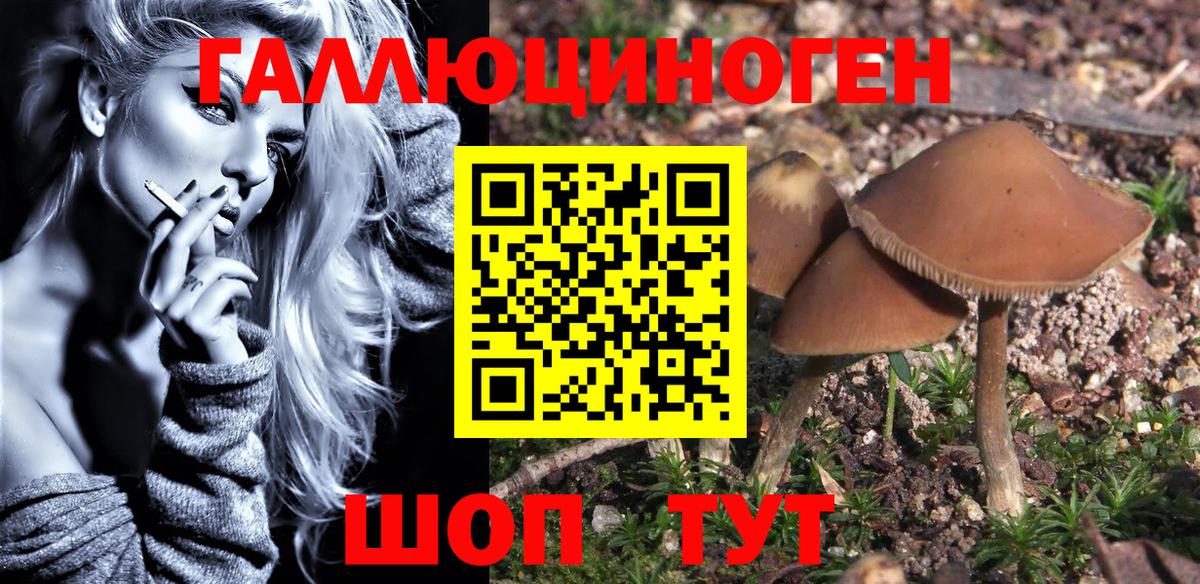 Галлюциногенные грибы Magic Shrooms  Вход с VPN  Железноводск  Галлюциногенные грибы Magic Shrooms 