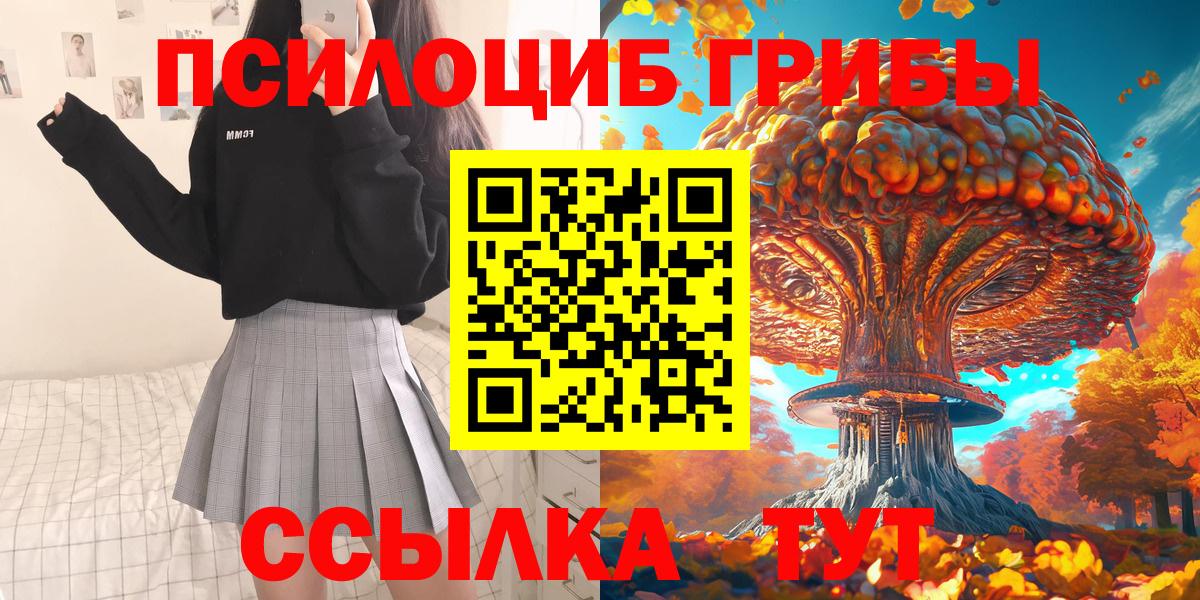 Галлюциногенные грибы Psilocybine cubensis Железноводск